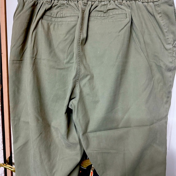 Petite 2X The Talbots Jogger Pant in Olive - Picture 9 of 11